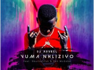 DJ Raybel Vuma Nhliziyo Mp3 Download