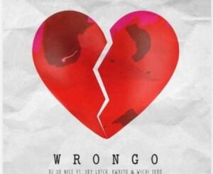 DJ So Nice Wrongo Mp3 Download