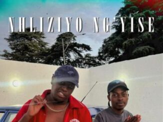 Ice Beats Slide Nhliziyo Ngyise Mp3 Download 1