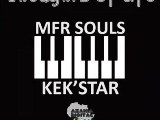 Mfr Souls Thoughts Of Life EP Download