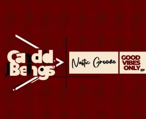 Nastic Groove Good Vibes Only EP Download