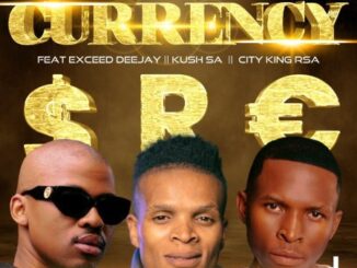 PYY Log Drum King Currency Mp3 Download