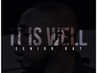 Senior Oat It Is Well EP Download