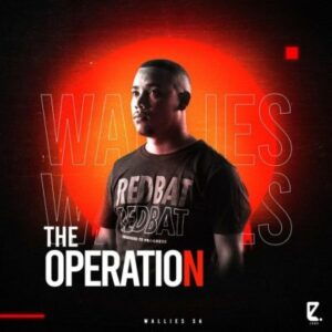 Wallies SA The Operation EP Download