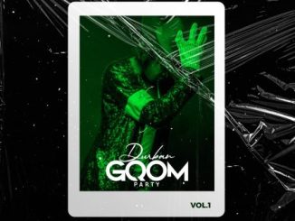 Various Artists Durban Gqom Party Vol Album