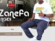 Zanefa Ngidi Phola Kancane Mp3 Download