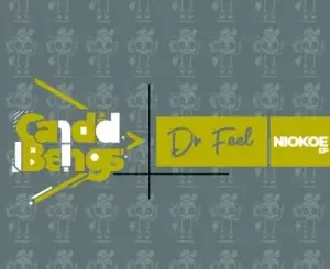 Dr Feel Niokoe EP Download