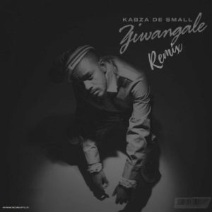 Kabza De Small Ziwa Ngale Remix Mp3 Download