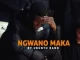 Ubuntu Band Ngwano Maka Mp3 Download