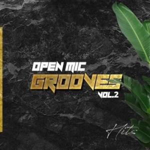 Various Artists  Open Mic Grooves Vol. 2 Album download