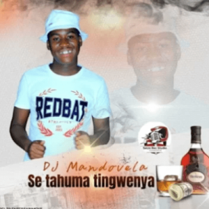 DJ Mandovela Seta Huma Tingwenya Mp3 Download