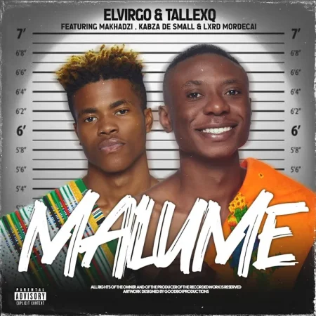 Elvirgo Malume 2.0 Mp3 Download