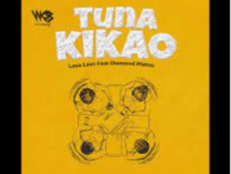 Lava Lava Tuna Kikao Mp3 Download