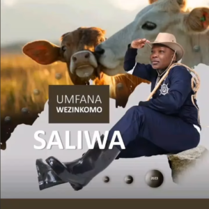Saliwa NjengoShaka Zulu Mp3 Download