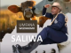 Saliwa Sikhombise iMali Mp3 Download