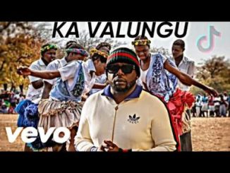 Tebza De DJ Ka Valungu Video Download