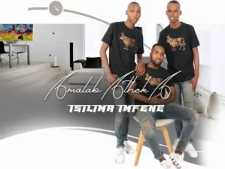 Amalabatheka Isilima Imfene Album Download