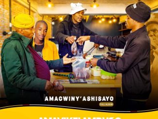Amavikelambuso Omhambiseni Mp3 Download