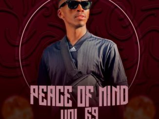 DJ Ace Peace of Mind Vol 69 Mp3 Download