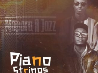 Mapara A Jazz Piano Strings Album Download