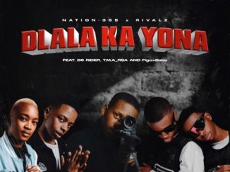 Nation-365 Dlala Ka Yona Mp3 Download