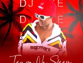 DJ Ace The Stellenbosch Mafia Mp3 Download