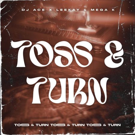 DJ Ace Toss & Turn Mp3 Download