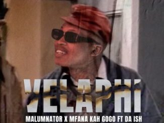 MalumNator Velaphi Mp3 Download