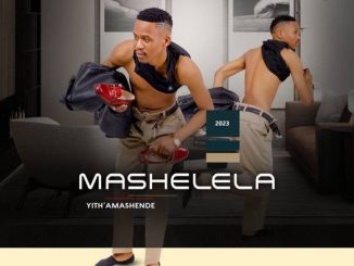 Mashelela Isiyoyoyo Leso Mp3 Download