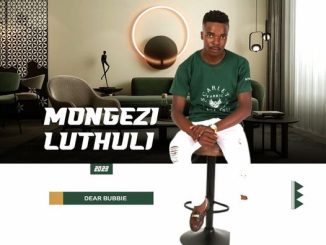 Mongezi Luthuli – Dear Bubbie (Radio Edit)