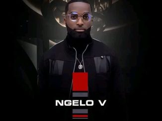 Ngelo V Wrong Delivery Mp3 Download