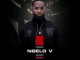 Ngelo V Wrong Delivery Mp3 Download
