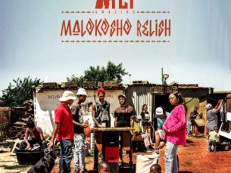 TLT Malokosho Relish Album Download
