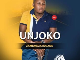 UNjoko Ngiyekeni Mp3 Download