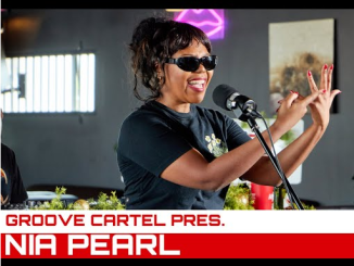 Nia Pearl Groove Cartel Amapiano Mix Download