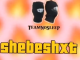 Team No Sleep Shebeshxt Mp3 Download