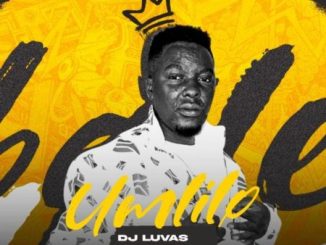 DJ Luvas Umlilo EP Download