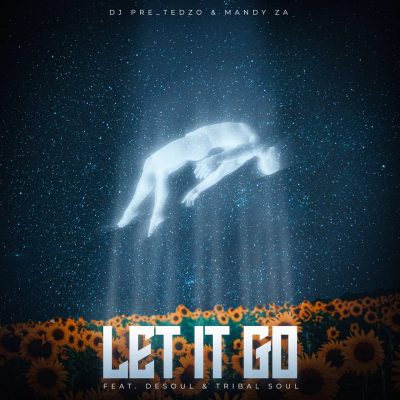 DJ Pre_Tedzo Let It Go Mp3 Download