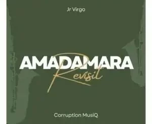 Jr Virgo Amadamara Remix Mp3 Download