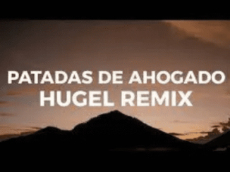 Latin Mafia Patadas De Ahogado Mp3 Download