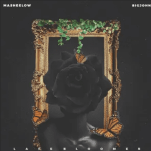 MaSheeLow Late Bloomer EP Download