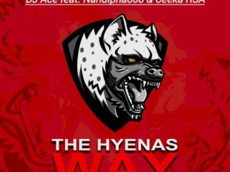 DJ Ace The Hyenas Way Mp3 Download
