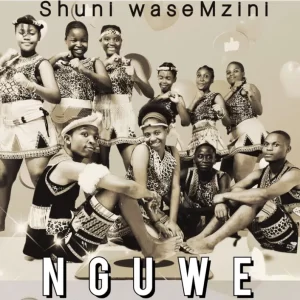 Shuni Wasemzini Nguwe Mp3 Download