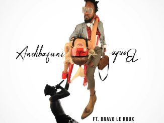 iFani And Bravo Le Roux To Drop Andibafuni Bonke