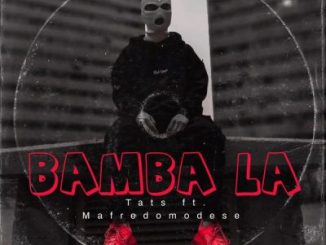 Blue Room Records Bamba La Mp3 Download