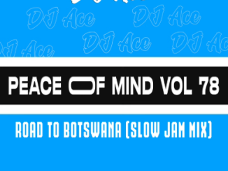 DJ Ace Slow Jam Mix Peace Of Mind Vol 78 Mp3 Download