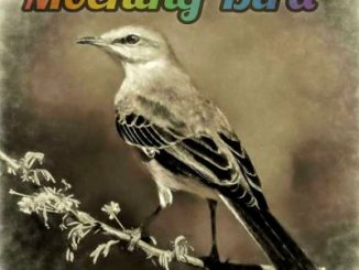 Luxury SA Mocking Bird Mp3 Download