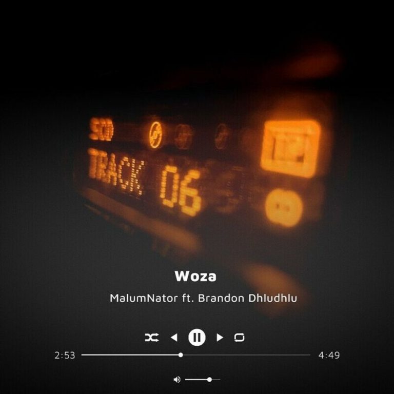 MalumNator Woza: MalumNator and Brandon Dhludhlu collaborated on this amazing Hip Hop track record titled “Woza”.