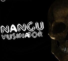 Vusinator Nangu Vusinator Mp3 Download
