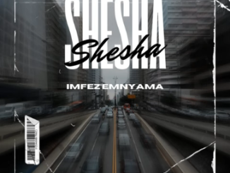 Imfezemnyama Shesha Mp3 Download